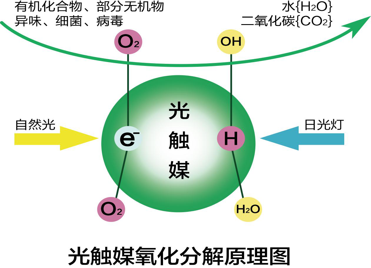 光触媒是一种以纳米级二氧化钛为代表的具有光催化功能的光半导体材料