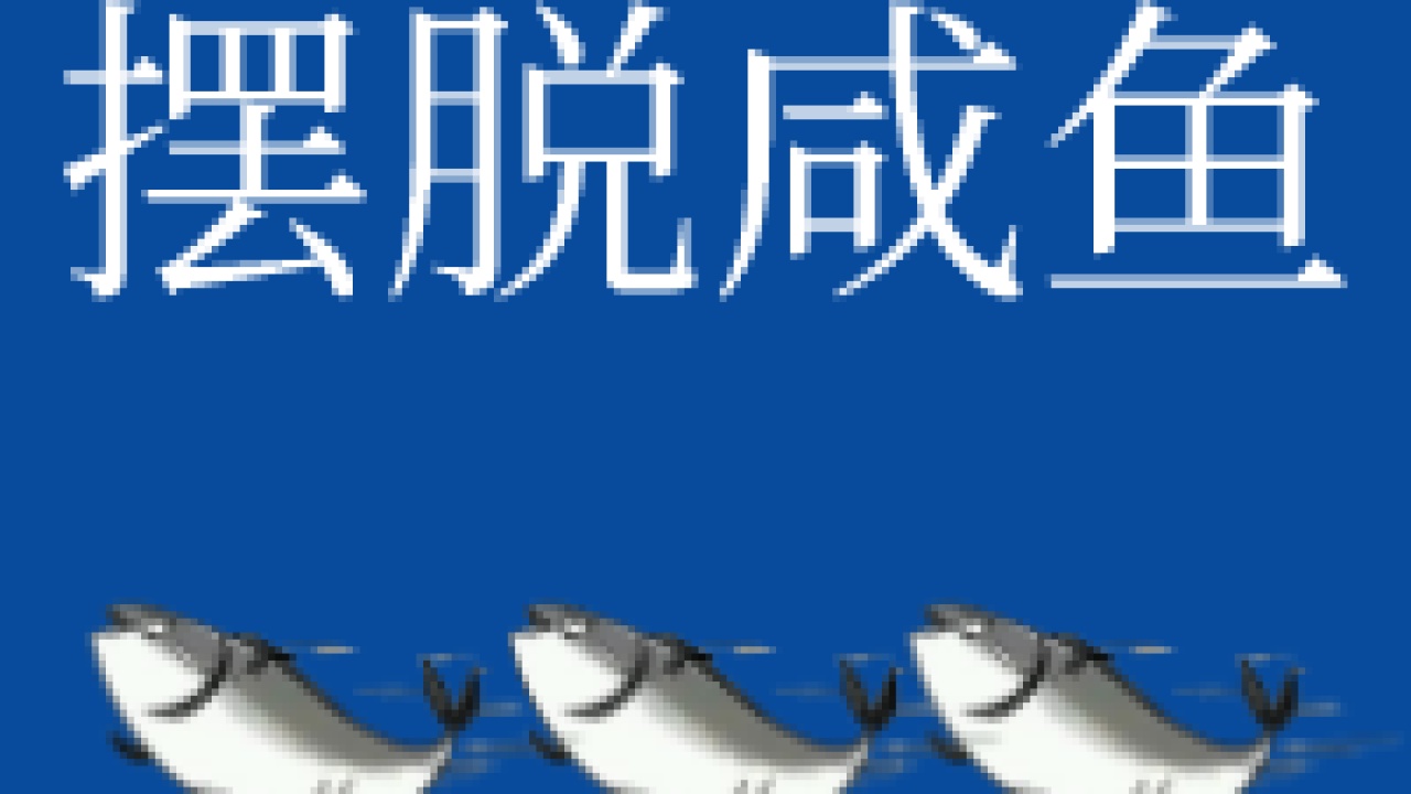雙11