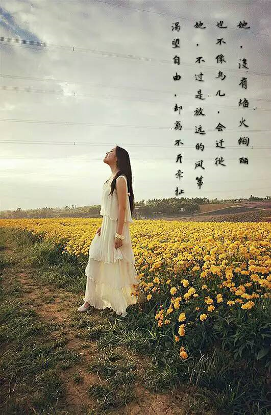 刘艺的简历