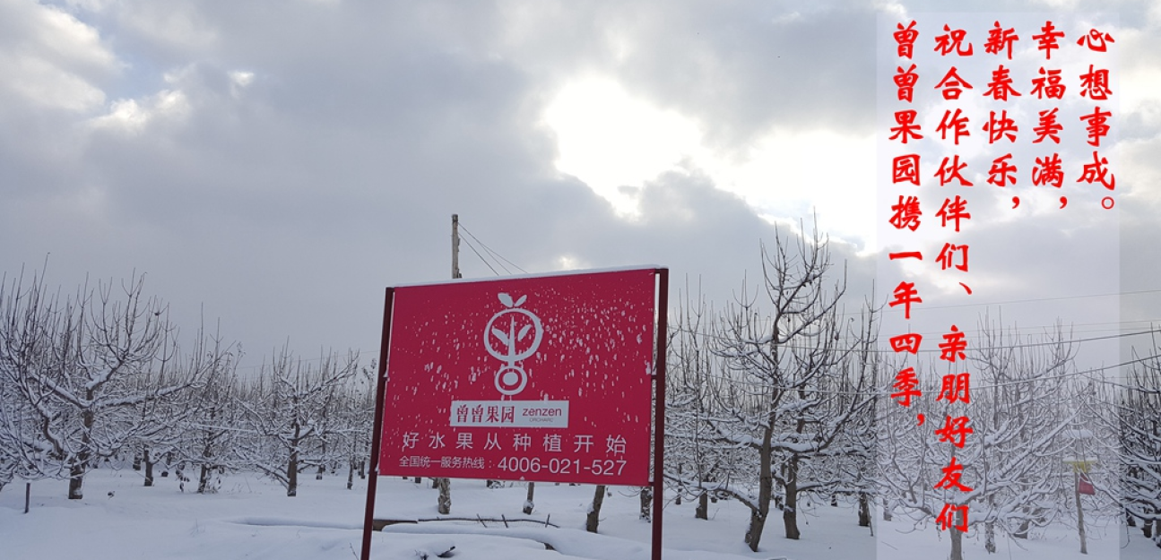 曾曾果園祝您新春快樂，四季幸福！