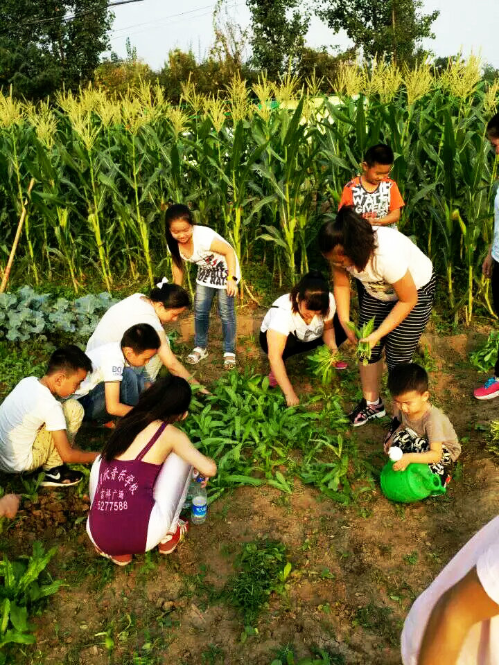 淄川区实验小学之开心农场乐翻天