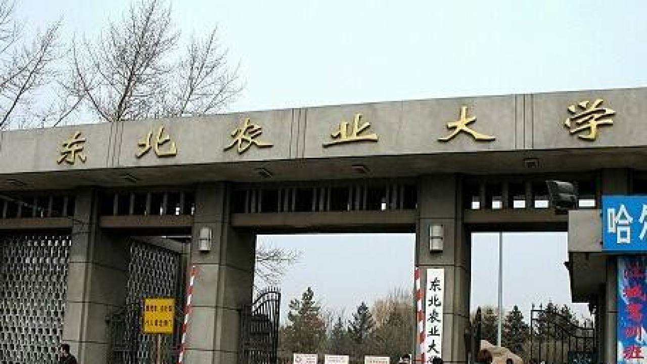 齊齊哈爾東農校友會
