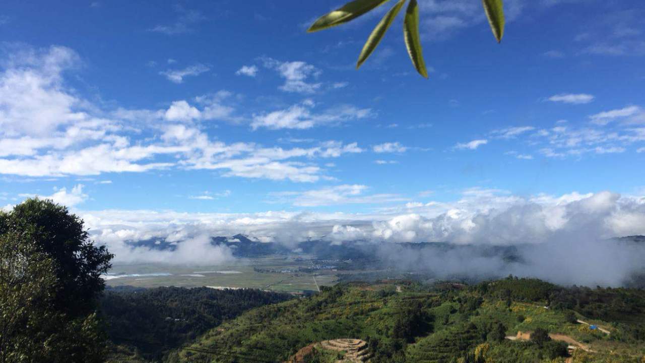 煙臺古韻茗茶