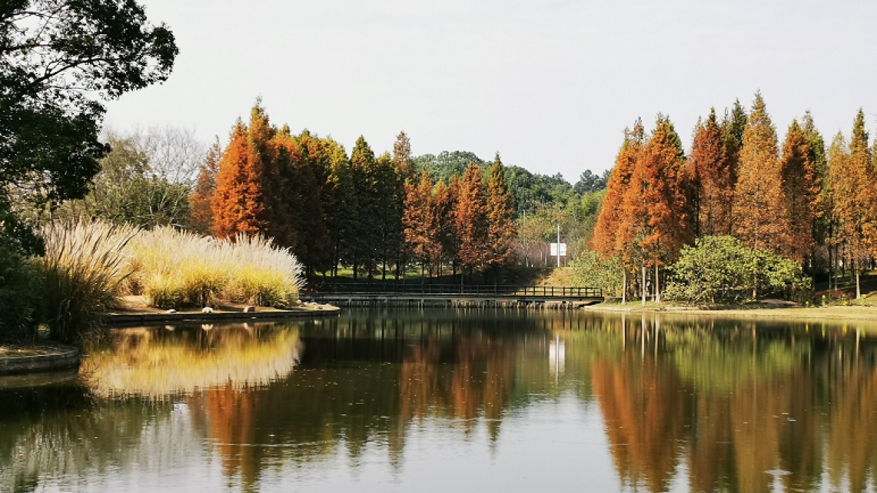 【身邊美景】長沙市園林生態園