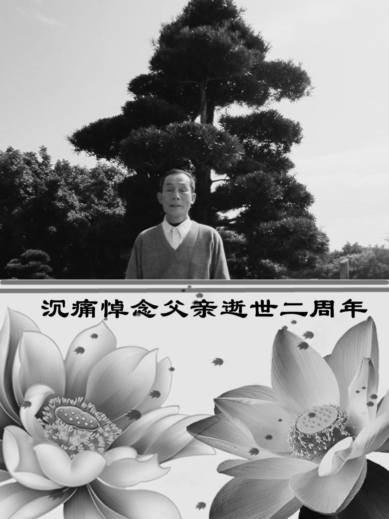 怀念父亲
