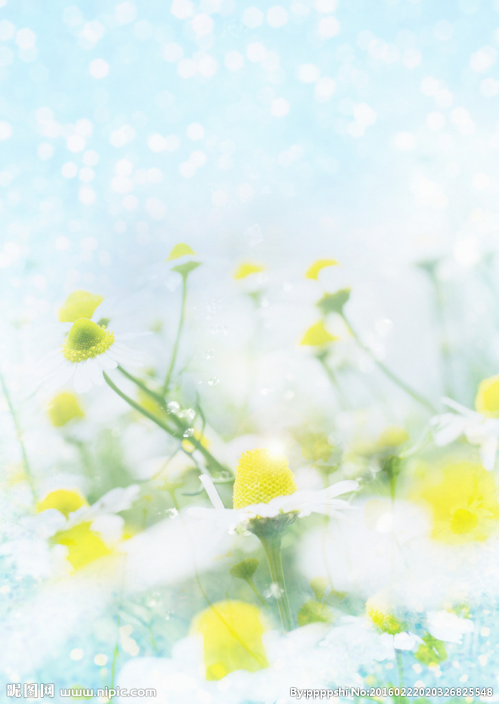 喜迎言成周年庆,感恩回馈贺大礼_微信营销成功