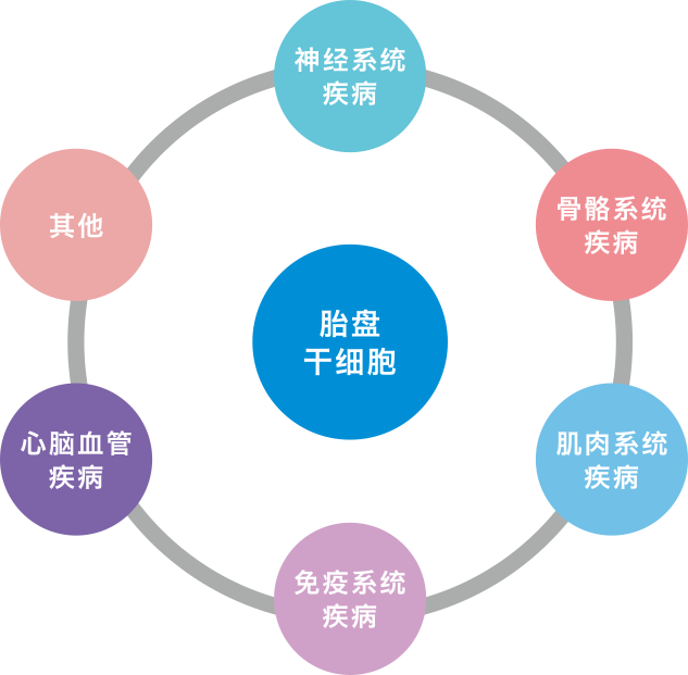 胎盘是人类干细胞宝库 一生仅此一次的生命资源库