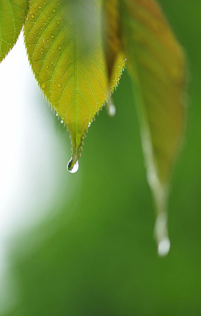 一首《天在下雨我在想你》送给最在乎的你!