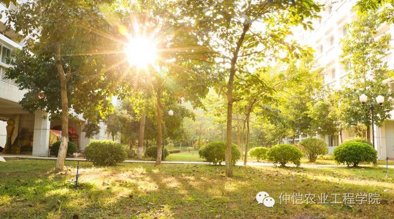 吴燕丽 13570977749 信息科学与技术学院 轻工食品学院 园艺园林