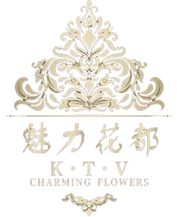 魅力花都KTV盛大開業(yè)