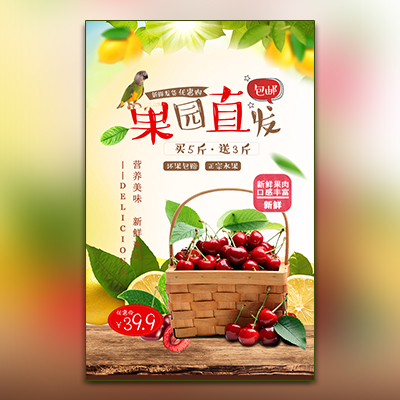 大連旅順大櫻桃火熱預定中，自產自銷，品質保證