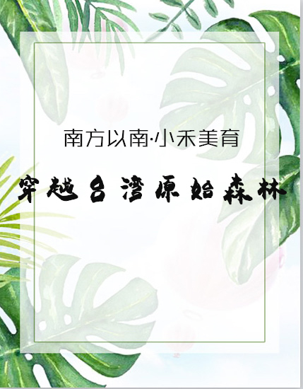 南方以南|两岸书院台湾森林夏校