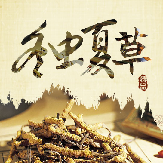 人參野山參保健品補(bǔ)品禮品活動促銷
