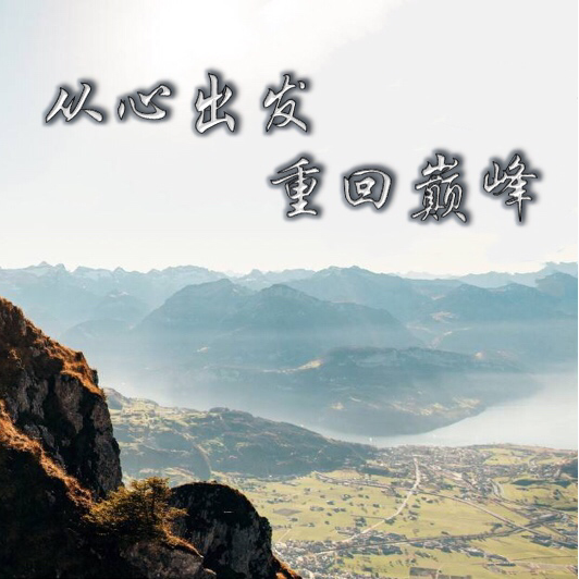 美贊臣南區(qū) 2019 重回巔峰