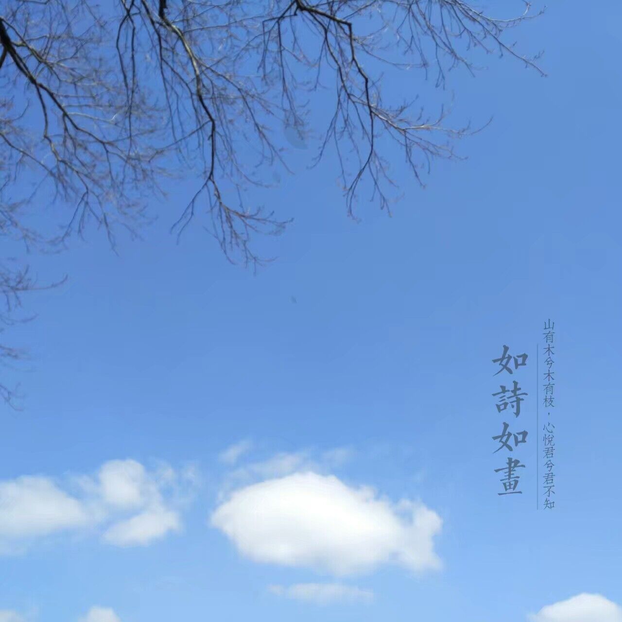 春之語(yǔ)