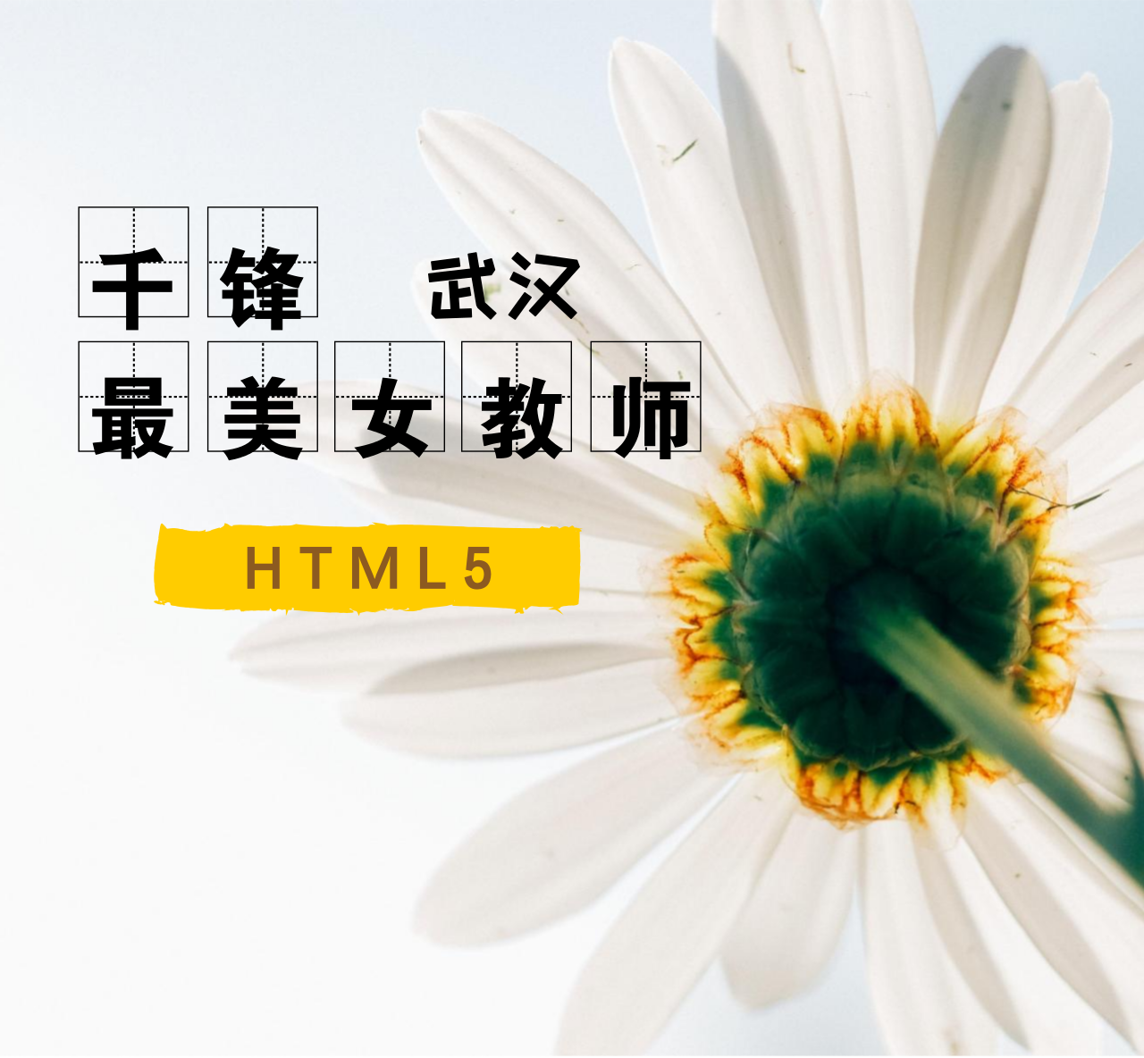 千鋒武漢最美HTML5女講師