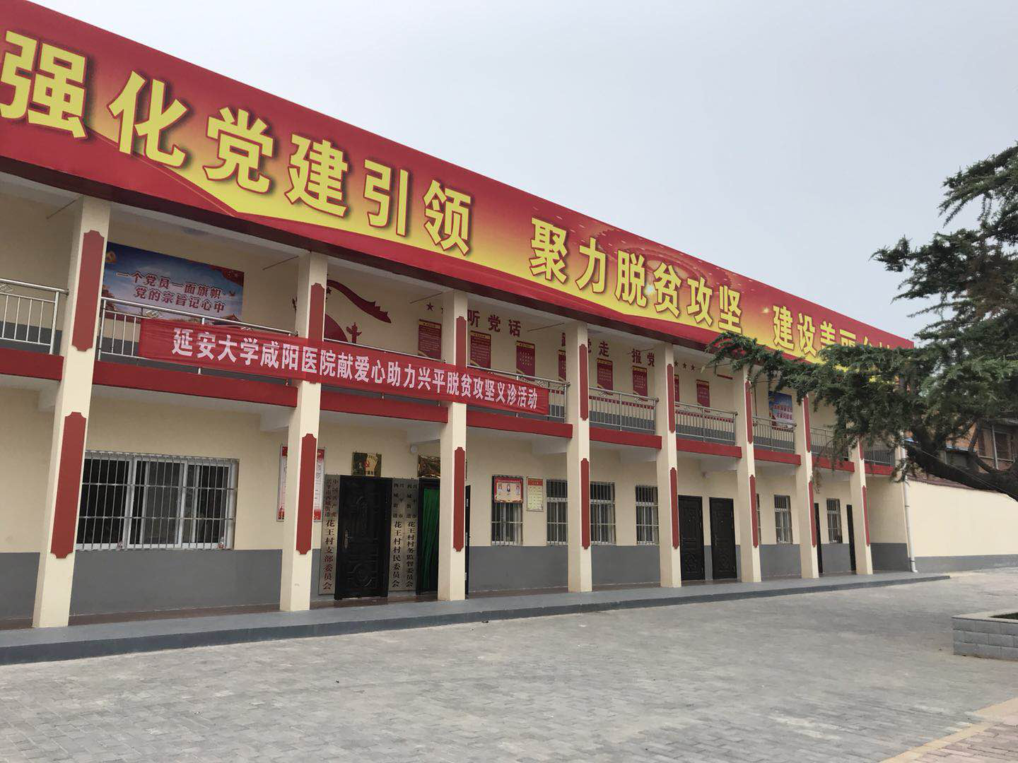 脱贫攻坚看花王