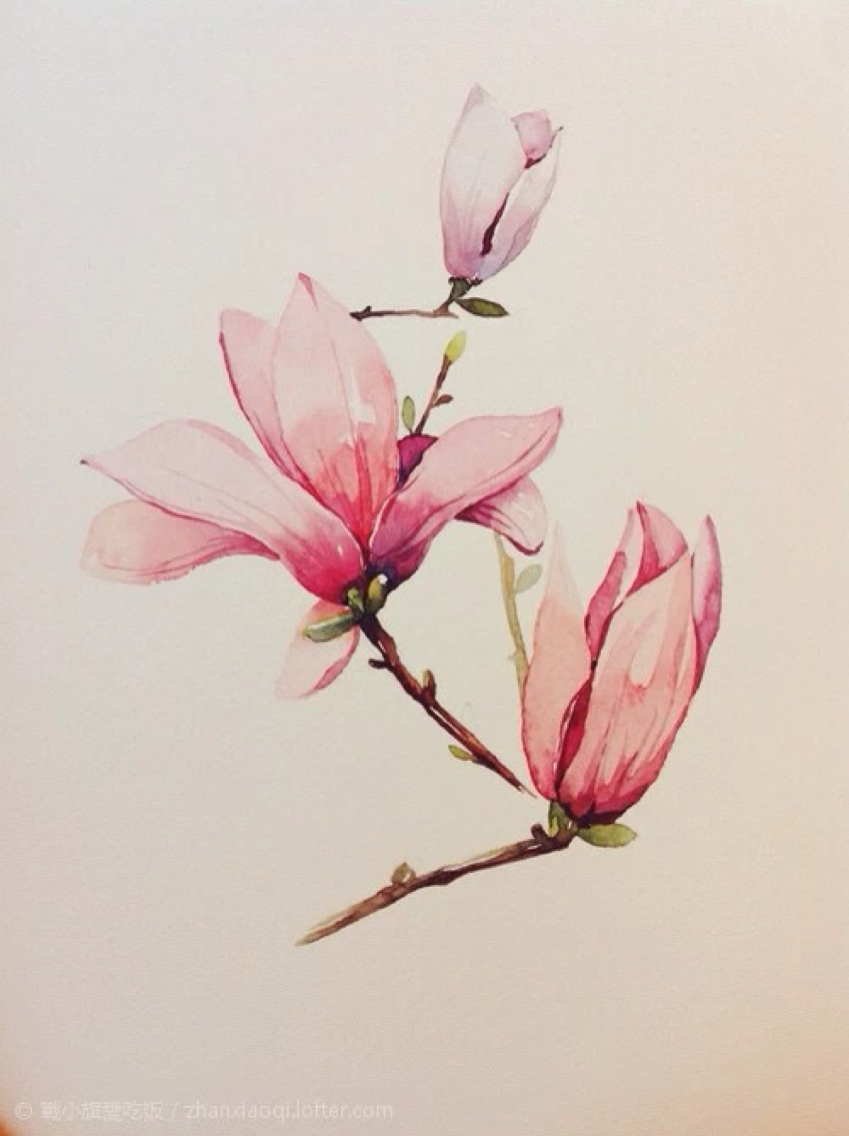 2013级民乐系刘杨古筝本科毕业音乐会