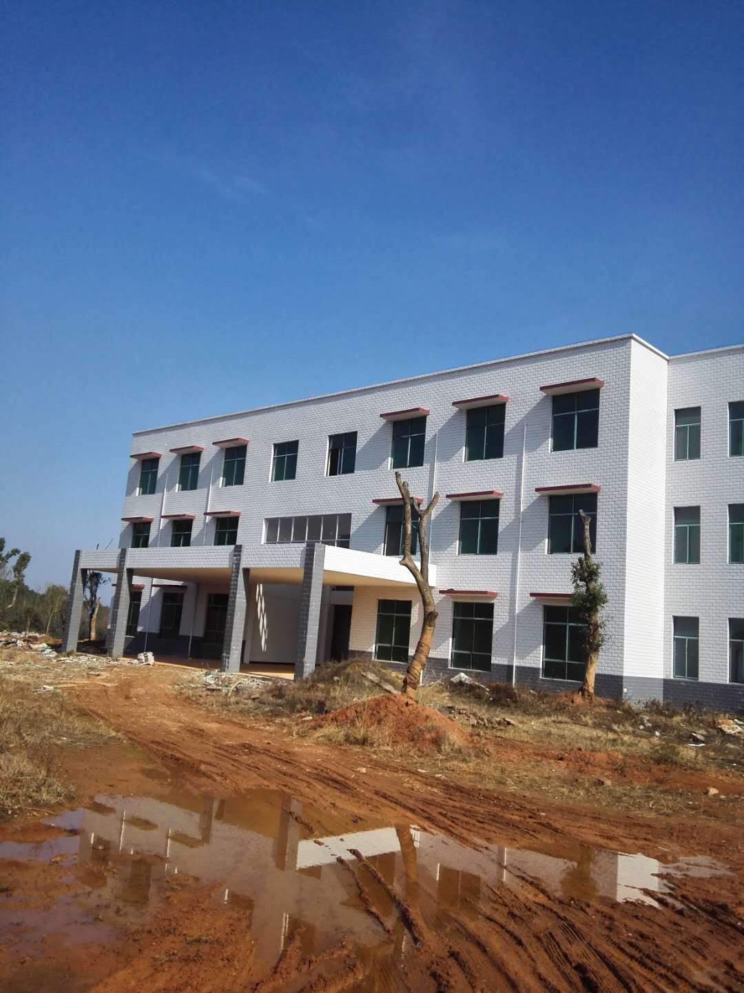 大忠桥镇人民政府邀请函