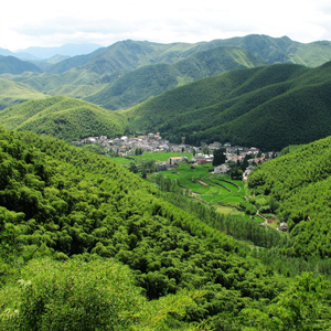 莫干山镇行政村简介