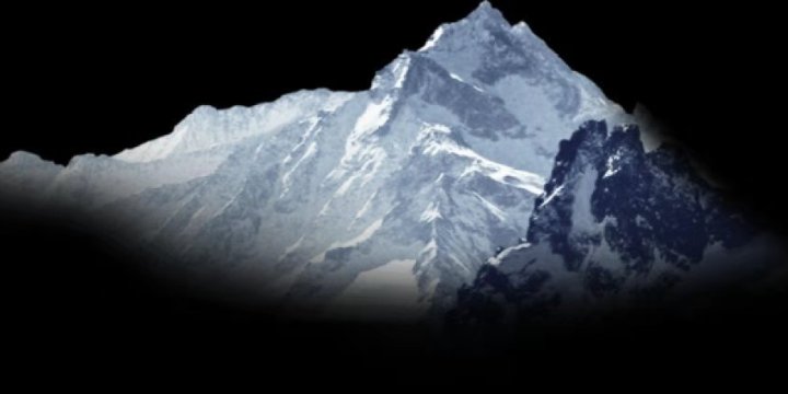 高丽天地参  天地幼苗参