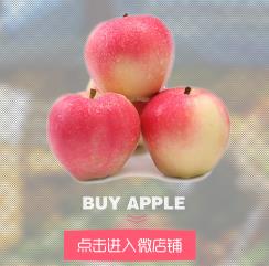 苹果-陕西铜川果农果园自摘苹果