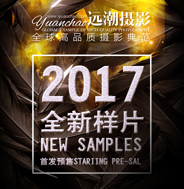 2017最新樣片匠心古裝預(yù)售發(fā)布