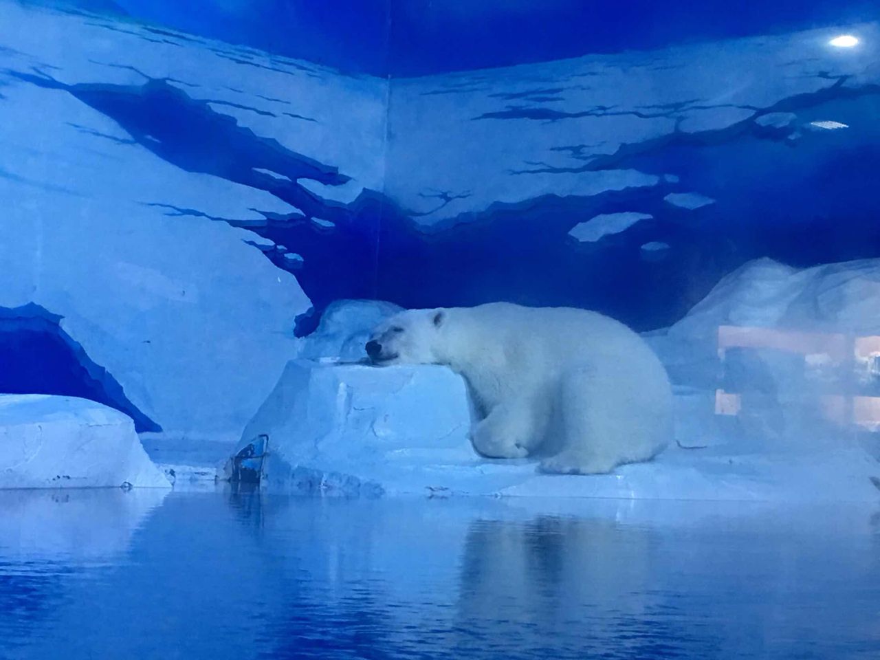 海洋公园宣传