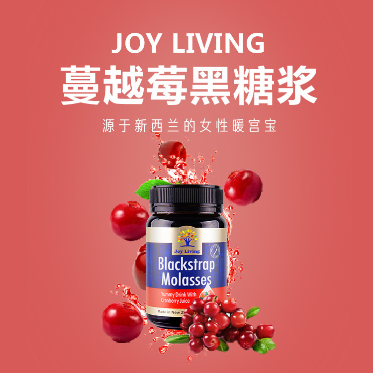 JOY LIVING恬乐园 蔓越莓黑糖浆