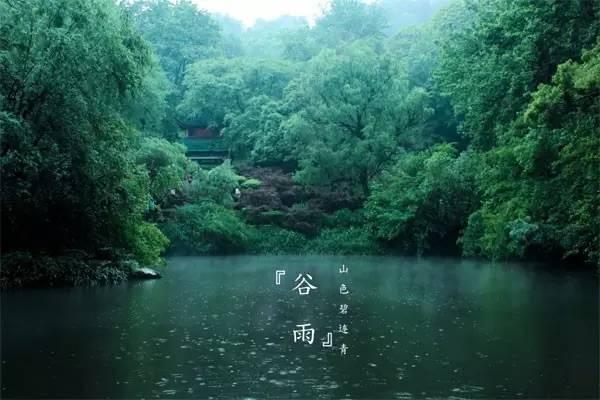 從都莊園--溪山散步，谷雨聽茶