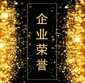 企業(yè)榮譽(yù)