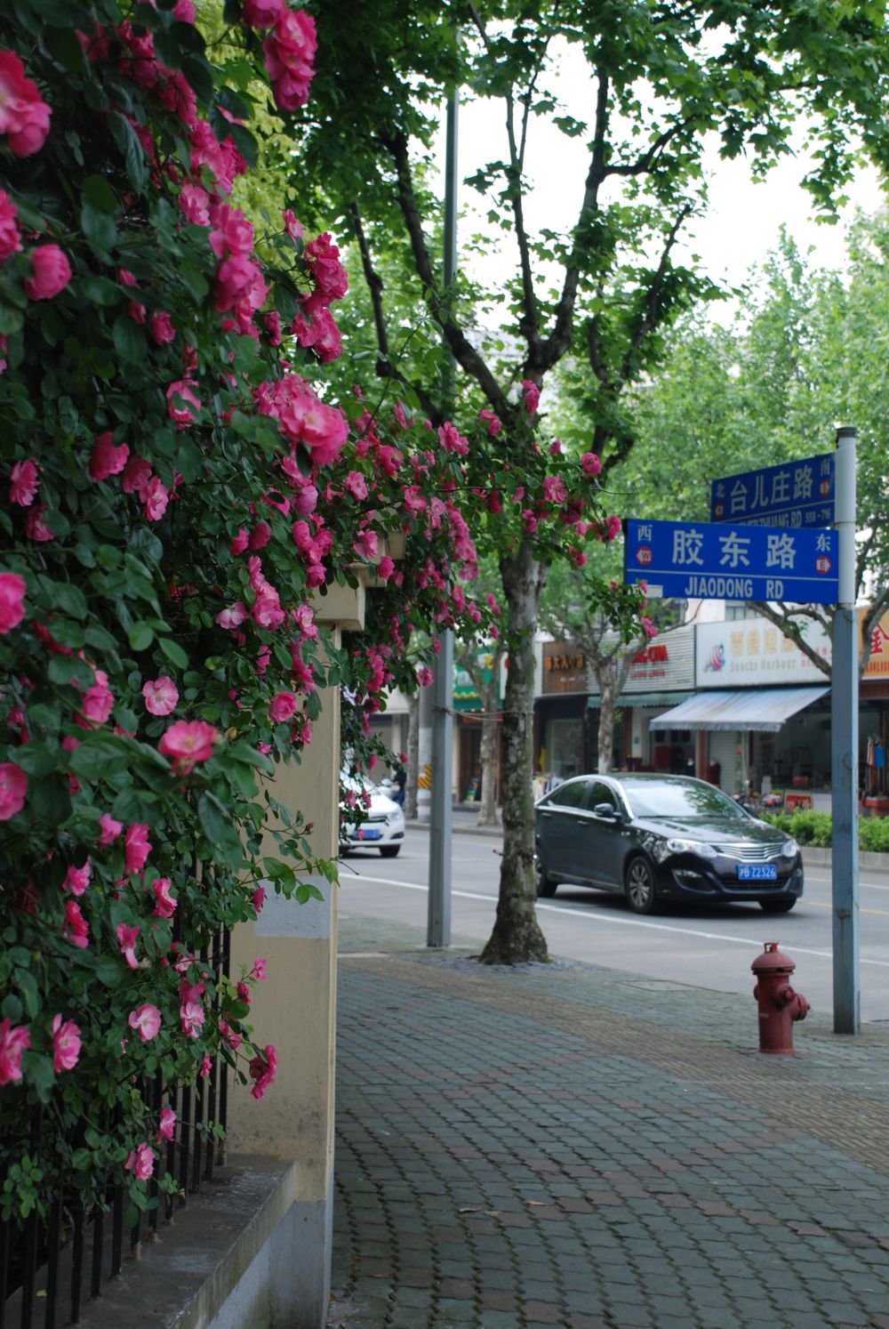 中国梦 浦兴梦